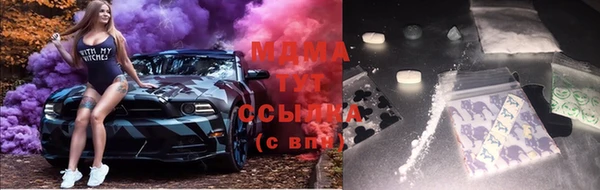 прущие грибы Алексин