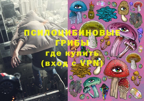 тгк Арсеньев