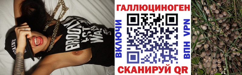 ОМГ ОМГ ONION  Дудинка  Псилоцибиновые грибы мицелий 